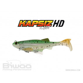 KAPSIZ KAST HD 23 CM