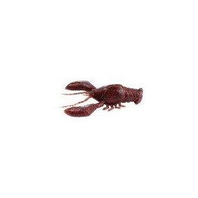 SLEEPER CRAW 3 5/8 OZ